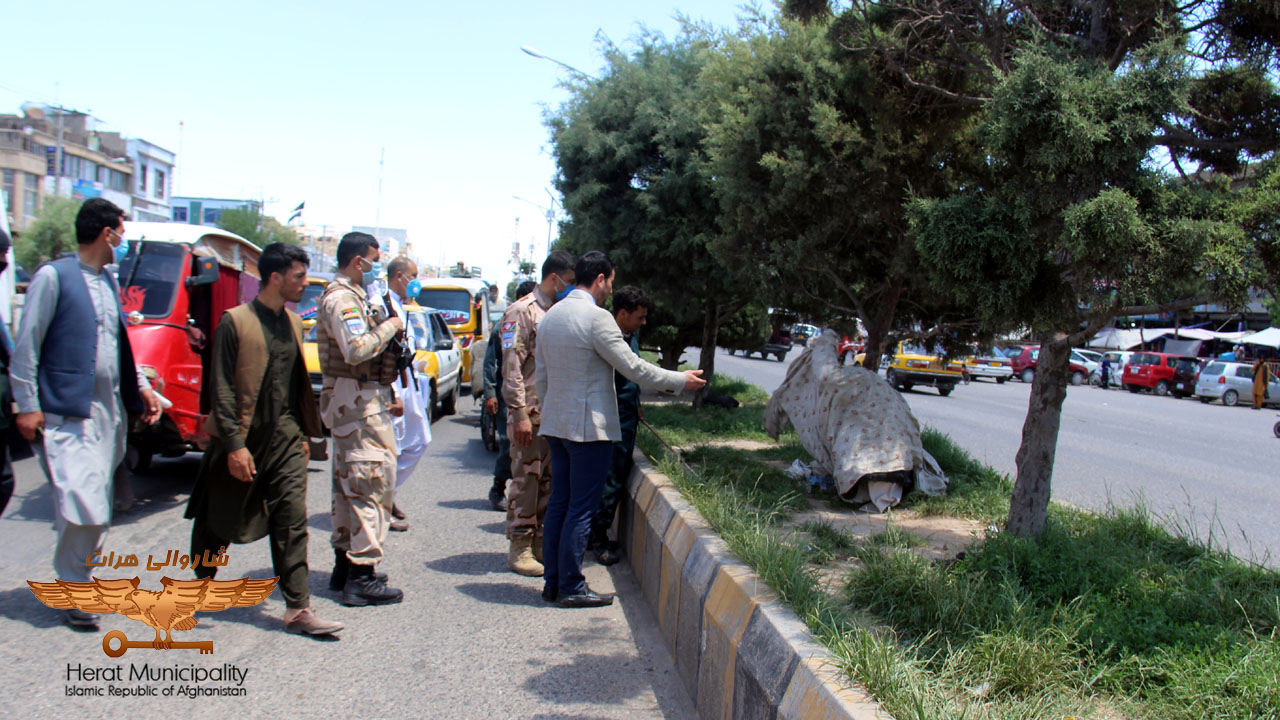 Getting addicts out of the boulevards and green areas of Herat Central Street
