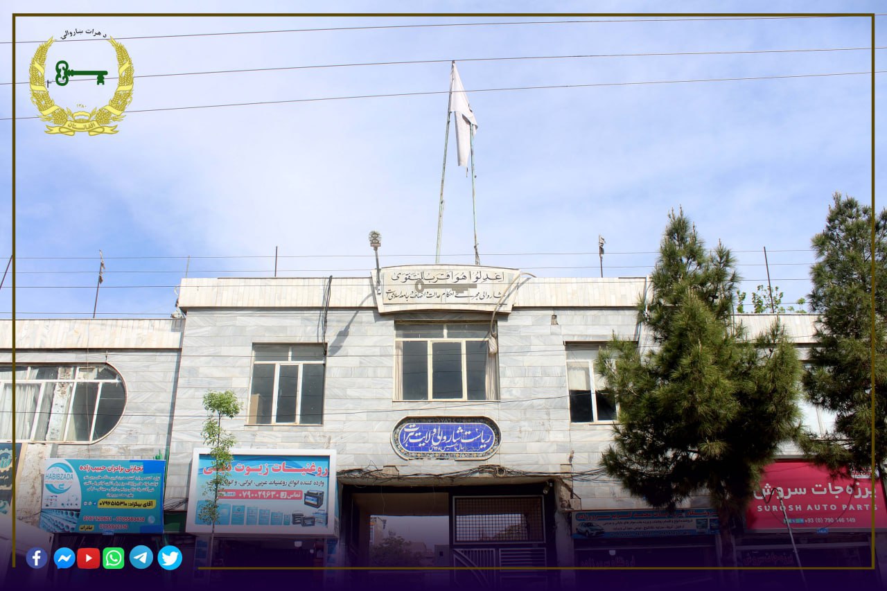 زیبایی شهر