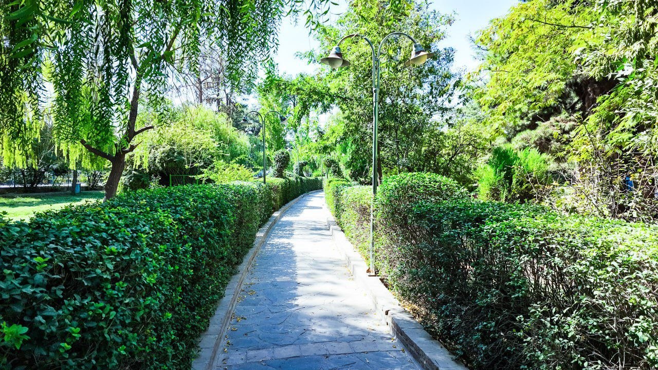 Green, Lush and Inviting Malekyar Park!